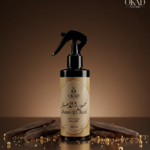 midnight gala maxi dress